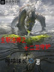 全职法师之十二卫守护章节列表