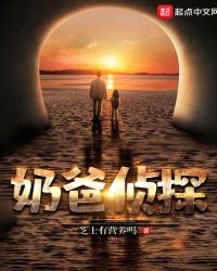 奶爸侦探章节列表