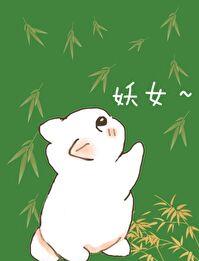 成为合欢宗妖女的短命灵宠章节列表