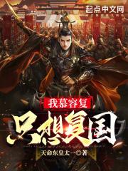 我慕容复只想复国章节列表