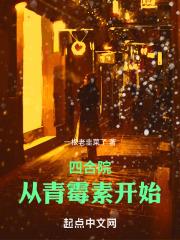 四合院：从青霉素开始章节列表