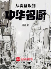 从卖盒饭到中华名厨章节列表