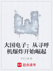 大国电子：从寻呼机爆炸开始崛起章节列表