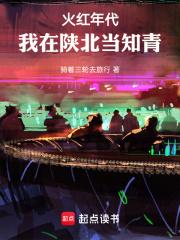 火红年代，我在陕北当知青章节列表