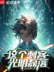 这个刺客光明磊落章节列表