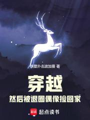 穿越，然后被退圈偶像捡回家章节列表