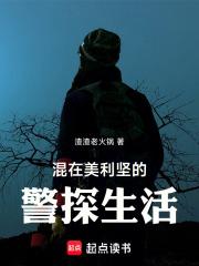 混在美利坚的警探生活章节列表