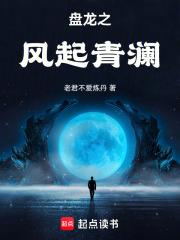 盘龙之风起青澜章节列表