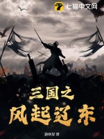 三国之风起辽东章节列表