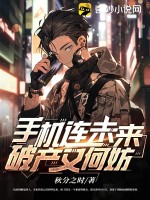 手机连未来，破产又何妨章节列表
