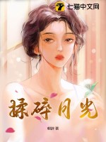 揉碎月光章节列表