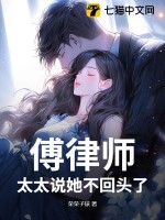 傅律师，太太说她不回头了章节列表