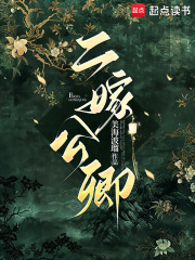 二嫁公卿章节列表