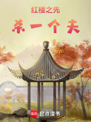 红楼之先杀一个夫章节列表