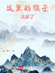 这里的猴子太多了！章节列表