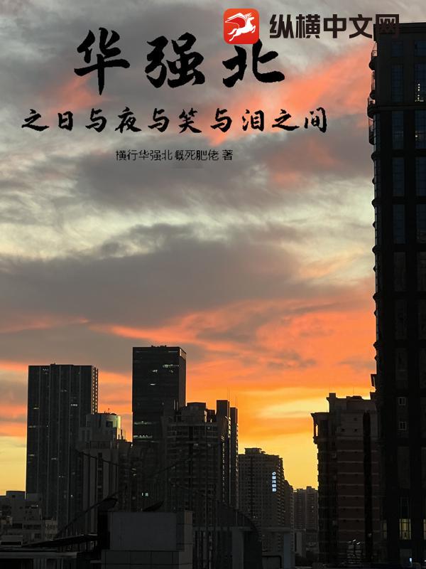 华强北之日与夜与笑与泪之间章节列表