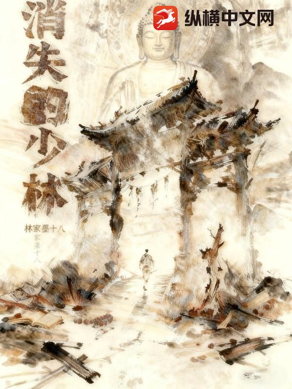 消失的少林章节列表