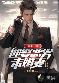 高手下山：迎娶恶劣未婚妻章节列表