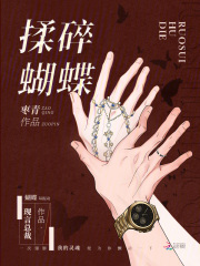 揉碎蝴蝶章节列表