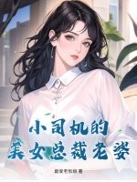 小司机的美女总裁老婆章节列表