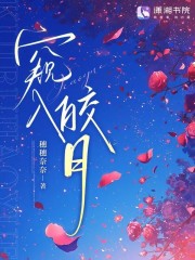 窥入皎月章节列表