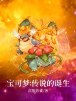 宝可梦：传说的诞生章节列表