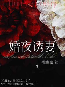 婚夜诱妻章节列表