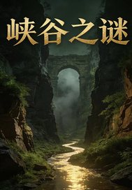 峡谷之迷章节列表