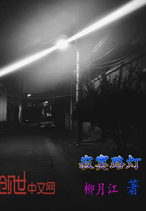 寂寞路灯章节列表