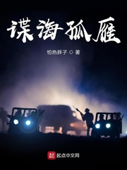 谍海孤雁章节列表