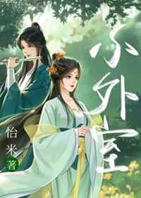 小外室章节列表